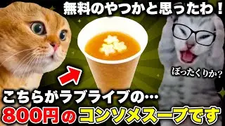 ラブライブの800円のコンソメスープ、なぜかこれを高くないとか言い出すオタクが多くていよいよヤバい【猫ミーム】