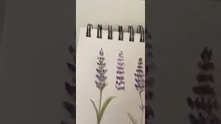 Easy lavender painting  for beginners #howtodraw #draw  #watercolor #drawing #lavender