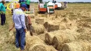 Chuyện Cuốn Rơm - Cty TNHH NN Thái Thông
