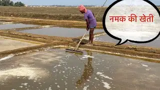 Salt Farming In Odisha | Natural Salt Making Process | #outdoorboysin
