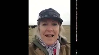 Artificial Disc Replacement - Wyoming to Germany