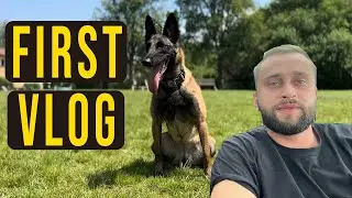 VLOG 01/ OBEDIENCE WITH MALINOIS