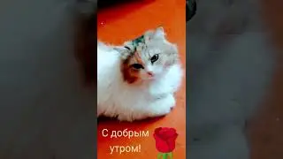 29 июня 2023 г.
