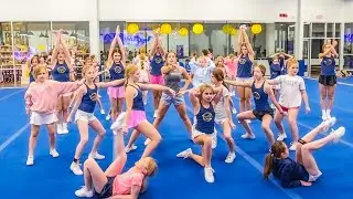 WE NEED A NEW DANCE...*STALLIONS GET A BID*