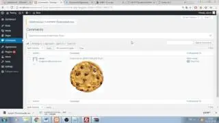 Demonstrations of how to prevent XSS attack