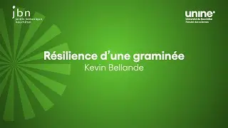 R&eacute;silience d'une gramin&eacute;e