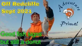 Off Redcliffe Sept 2021 - good fish signs but still a donut