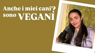 Sono vegana: anche i miei cani non mangiano carne?