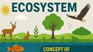 Ecosystem | Concept of Ecosystem Explained | EEE RGPV B.Tech 2nd Year | Energy Environmental Engg