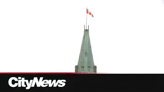 Calgarians reflect on the meaning of the maple leaf flag as it turns 60