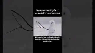Winter storm warnings for 12 states as 48 inches of snow to hit