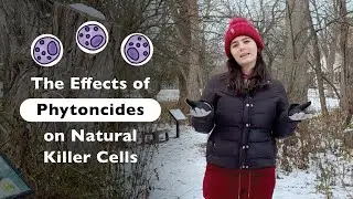 Cellular Benefits of Being Outdoors