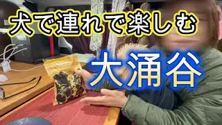 【正月の大涌谷】愛犬とロープウェイに乗って絶景に感動！ペット同伴OKの箱根観光するならココ！