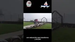 De regreso a clases 2026