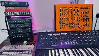 Korg monopoly, Analogue Solutions Fusebox X,  TR606,  microrack sequence.
