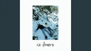 Ice Flowers