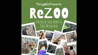 ReZOO #2: Chester Zoo (Part 1)