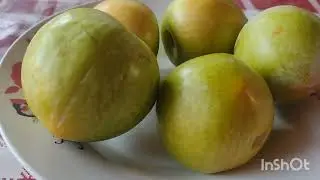 Giant plums Italy