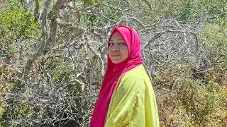 সাউথ আফ্রিকা দুনিয়ার শেষ প্রান্তে penguin দেখতে আসলাম