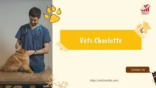Vet Charlotte