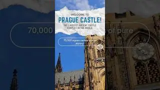 Walk the Royal Route at Prague Castle | Legends, Kings & 1,000 Years of History