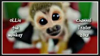 Baby Monkey oLLie Channel Trailer 2018