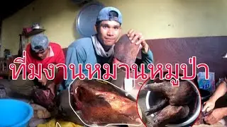 หมูป่าถึกกับดักพรานหนวด  27 ธันวาคม ค.ศ. 2025