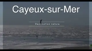 Cayeux-sur-Mer, destination nature et paradis des kitesurfeurs !