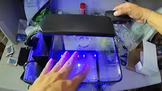 Creando betera en Nano acuario lomas 2.5 18 litros
