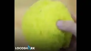 Loco Chilli Active Ball