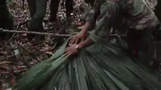 How to thatch jungle shelters with palm leaves