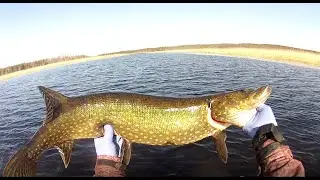 Lets tie and catch pike with a black fly