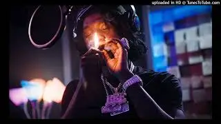[Free For Profit] Chicken P Type Beat 