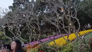 Путешествуйте с Me Tai Po Waterfront Park