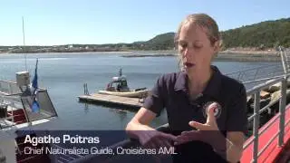 A guide to Bay-Saint-Catherine, Quebec