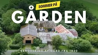 Spartler vægge IGEN! – og kæmper med grene i haven ⎮ Renovering af gård fra 1820