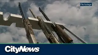 Quebec political party positions on gun control