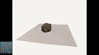 jn0263 Fossil Trilobite Acastoides