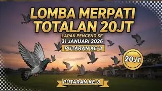 🔴[LIVE] BABAK 1 KLOTER 1-5 PUTARAN 8 PMTI PURBALINGGA TOTALAN 20 JT LAPAK PENCENG SF PURBAYASA