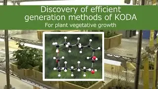 KODA to augment plant growth &ndash; Tokyo Tech Research