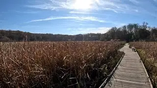 Alder Trail - Goodyear Heights Metro Park