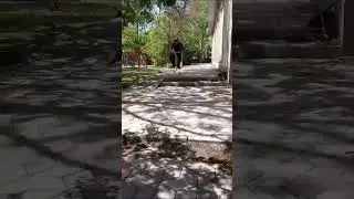 #рекомендации  #петябондарь  #рек  #scooter  #самокат т