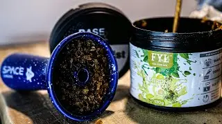 FYL Zitrone Minze | 1 Tag Sp&auml;ter