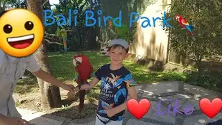 Bali Bird Park, Goa Gajah и  водопад Tegenungan