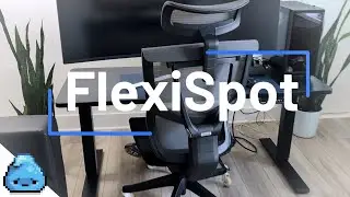 Pixel Pete's Standing Desk & Chair ( FelxiSpot C7 & E5 )