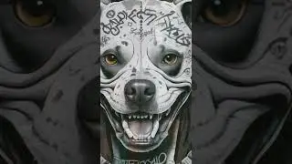 Drill Type Beat &ldquo;Pitbull&rdquo; #freedrillbeat #shorts