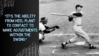 Definition of Swing Adjustability | The Lab - Epstein Hitting Podcast