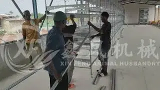 Poultry Chicken Farm Automatic H Type 10000 Layer Chicken Cages Customer Installation Case