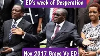 November 2017 - Grace Mugabe VS ED Mnangagwa Power Struggle - What you need to know