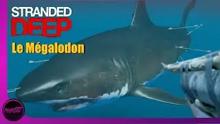 Premier Boss : le Mégalodon !!!//#10//Stranded Deep [PS4/FR]